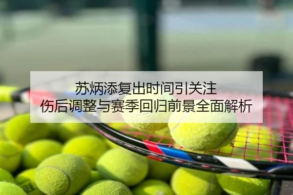 苏炳添复出时间引关注 伤后调整与赛季回归前景全面解析