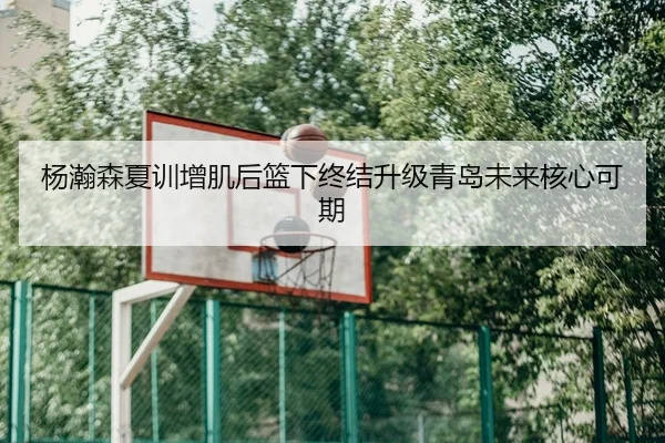 杨瀚森夏训增肌后篮下终结升级青岛未来核心可期